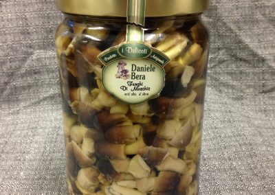 funghi-muschio-sottolio